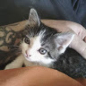 Meet your Posher, Jef